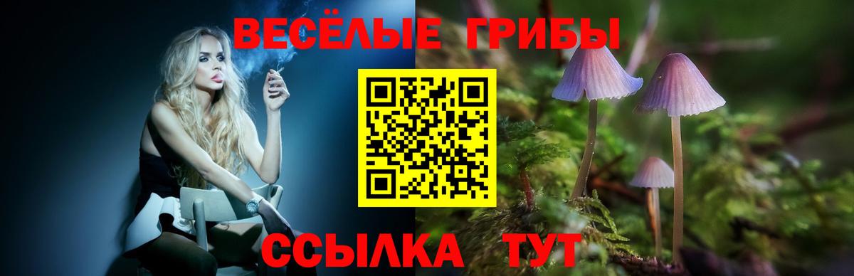 Галлюциногенные грибы Psilocybe Невинномысск
